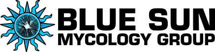 splash_logo